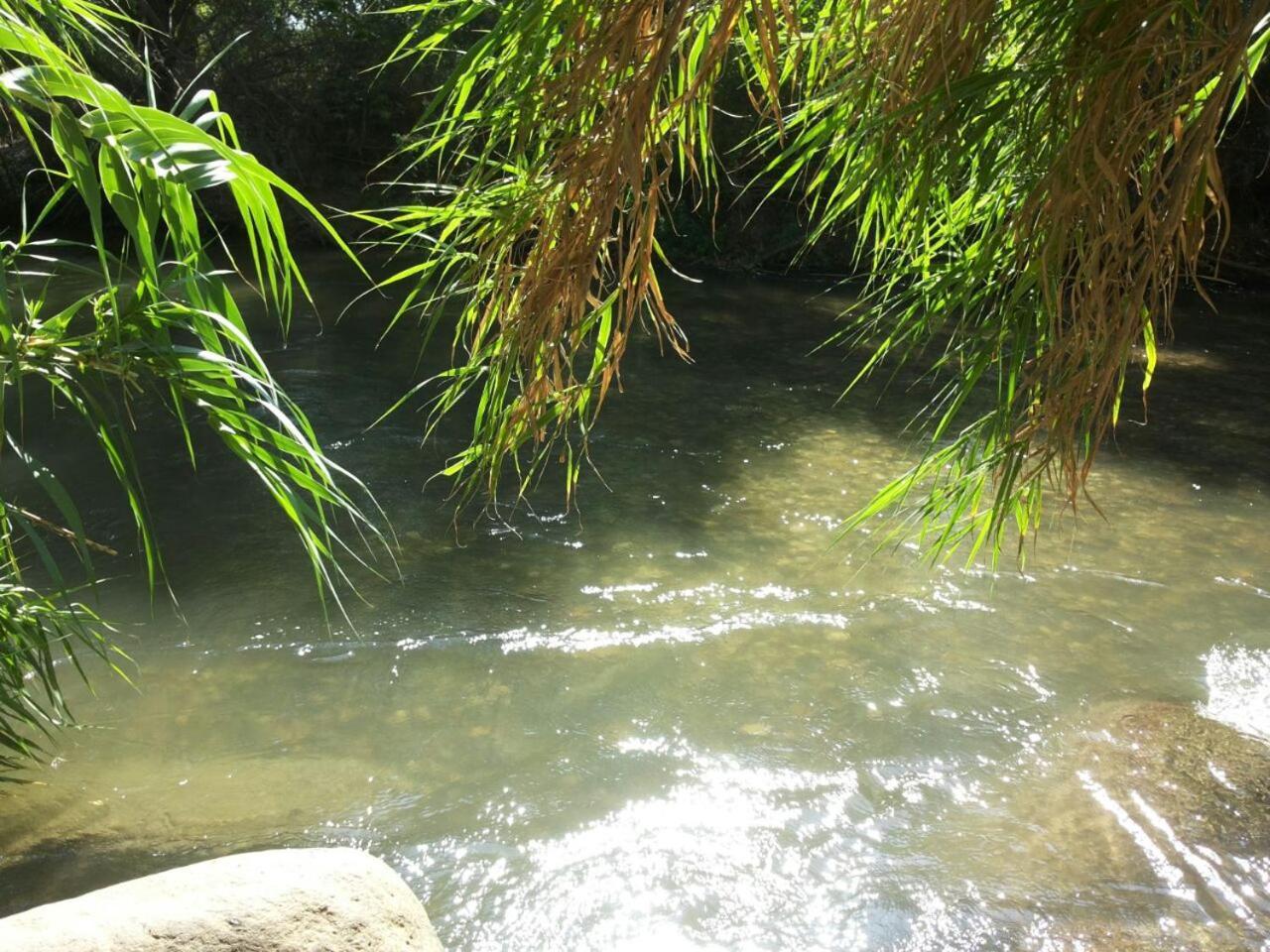 谢莫纳城אצלנו - בגליל העליון公寓 外观 照片