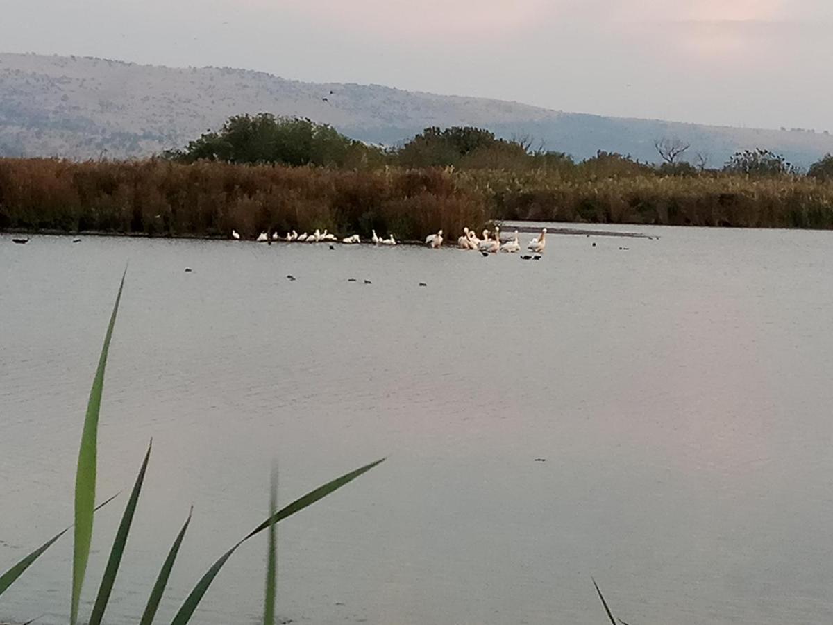 谢莫纳城אצלנו - בגליל העליון公寓 外观 照片